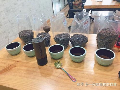 一家精品咖啡烘焙工廠的日常工作都有哪些呢